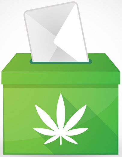 Illustration of a green ballot box with a marijuana leaf